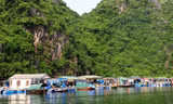 Tỉnh Quảng Ninh yêu cầu tạm dừng tăng phí tham quan vịnh Hạ Long