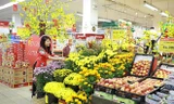 Ngắm 'rừng' hoa tết rực rỡ trong siêu thị