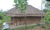 Ngôi nhà tranh tre vách đất của họa sỹ Nguyễn Thượng Hỷ sau khi từ quan về vườn dựng nên để ở.
