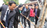 Phó Thủ tướng Nguyễn Xuân Phúc cùng lãnh đạo Bộ Y tế, tỉnh Hà Tĩnh trồng cây tại phần mộ danh y Lê Hữu Trác. 