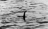 Ảnh của quái vật Loch Ness được chụp vào năm 1934.