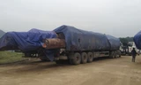 45 xe chở gỗ bị bắt ở cửa khẩu Cầu Treo