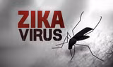 Zika hoành hành ở Singapore, Bộ Y tế họp bàn ứng phó