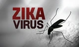 Zika hoành hành ở Singapore, Bộ Y tế họp bàn ứng phó