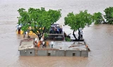 Nước dâng cao, người dân ở huyện Amreli phải trèo lên tòa nhà cao tầng chờ lực lượng cứu hộ 