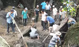 Máu, nước mắt và cuộc chơi săn lộc rừng giá bạc tỷ