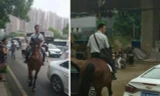 Bỏ xế hộp, cưỡi ngựa đi làm