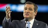 Ông Ted Cruz.