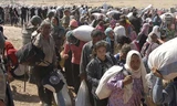 Người Kurd sơ tán khỏi Syria 