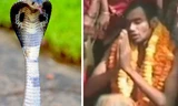 Người đàn ông cưới... rắn hổ mang vì 'duyên tiền kiếp'