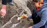 Phát hiện cổ mộ 'ma cà rồng' bị đóng cọc ở ngực