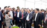 Thủ tướng Nguyễn Xuân Phúc thăm quan mô hình sản xuất nông nghiệp công nghiệp cao ở tỉnh Hà Nam.
