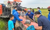 Hà Tĩnh: Đoàn viên thanh niên ra quân tham gia hỗ trợ người dân chống bão Yagi