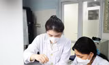 Phát triển doanh nghiệp trong các cơ sở giáo dục đại học: Nút thắt từ hệ thống pháp luật