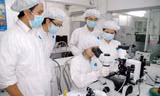 Những nhà khoa học nào của Việt Nam được gọi tên trong bảng xếp hạng thế giới?