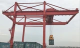 Nhiều doanh nghiệp xuất nhập khẩu đi châu Âu và Mỹ đang gặp khó vì thiếu container rỗng đóng hàng