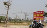 Chủ một số sàn giao dịch cho hay, mỗi ngày đều “đẩy” được nhiều lô đất tại khu Nam Hòa Xuân, trên thực tế rất ít giao dịch. Ảnh: Thanh Trần