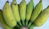 Chuối "ngậm" hóa chất để tươi lâu
