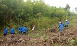 BẢN TIN TÌNH NGUYỆN: Thanh niên phòng chống cháy rừng