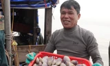 Trúng đậm ngao tím gần bờ, ngư dân phấn khởi hốt tiền triệu