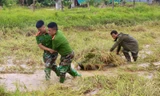 Hình ảnh Công an Hà Tĩnh lội ruộng gặt lúa giúp người dân sau lũ