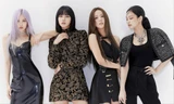 Vỡ mộng ôm vé BlackPink 