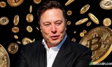 Tỷ phú Elon Musk. Ảnh: Bitcoin.com