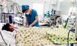 Bệnh nhân sốt xuất huyết ở Bình Dương tăng cao, nhiều trường hợp diễn biến nặng. Ảnh: H.C