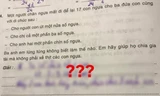 Bài toán "17 con ngựa chia đều cho 3 anh em", lời giải của bạn nhỏ khiến netizen thán phục