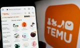 "Tân binh" Temu làm dậy sóng thị trường, tín đồ mua sắm đối diện với rủi ro gì?