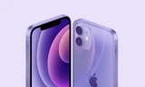 Ấn tượng đầu tiên về iPhone 12 màu Tím khoai mỡ: Màu sắc độc đáo, giá từ 16,1 triệu đồng