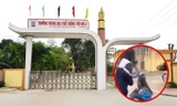 Nữ sinh lớp 9 ở Ninh Bình bị nhóm học sinh THPT đánh do mâu thuẫn trên mạng