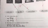 Học sinh lớp 1 làm bài sắp xếp câu tiếng Việt, đáp án của cô giáo khiến dân mạng tranh cãi