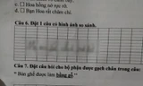 Học sinh Tiểu học đặt câu có hình ảnh so sánh, lấy ngay mẹ làm ví dụ khiến người đọc "bật ngửa"