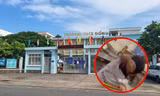 Vụ nam sinh lớp 9 đánh bạn vì nhặt được tiền không trả: Kỷ luật cả học sinh quay video