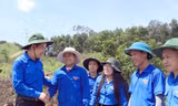 T.Ư Đoàn đánh giá cao công tác hỗ trợ thi công đường dây 500kV mạch 3 của tuổi trẻ Nghệ An