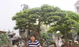 Anh Phan Văn Toàn bên cây cảnh quý Ảnh: T.V