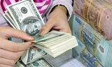 Các ngân hàng thương mại trong nước hiện vẫn đang neo giá bán USD ở 22.800 đồng.