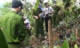 Trúng đạn súng kíp, một người đàn ông tử vong trong rừng
