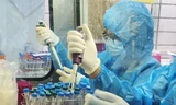22 ca mắc mới COVID-19, Việt Nam có 905 bệnh nhân