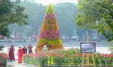 Cận cảnh cây thông Noel 'độc nhất' làm từ 2.000 cành hoa ly ở Hà Nội