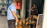 Hơn 30 hộ dân khổ sở vì sống cạnh căn nhà nuôi gần 100 con chó