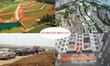 ‘Xẻ thịt’ đồi chè để phân lô bán nền, yêu cầu công khai quy hoạch để chặn sốt đất