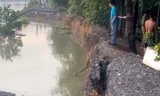100m đê sông Sài Gòn bị sạt lở, TPHCM khẩn cấp di dời dân