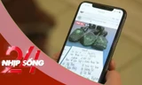 NHỊP SỐNG 24: Lừa đảo ‘đổ thạch’ trên mạng; Kỷ lục hưởng lương hưu trẻ nhất thế giới
