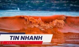 TIN NHANH: 'Thủy triều đỏ' xuất hiện tại Kiên Giang, cảnh báo nguy hiểm
