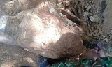 Đào đất phát hiện quả bom xuyên phá nặng hàng trăm kg ở Nghệ An