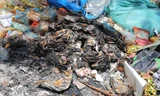 Kinh hãi rác thải ngập ngụa trên tuyến đường ven sông Vinh