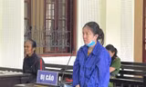 Tuyên án nữ quái lừa ‘chạy án’, chiếm đoạt gần nửa tỷ đồng