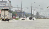 TP Vinh: Đường biến thành 'sông', xe cộ 'bơi' ngay giữa phố